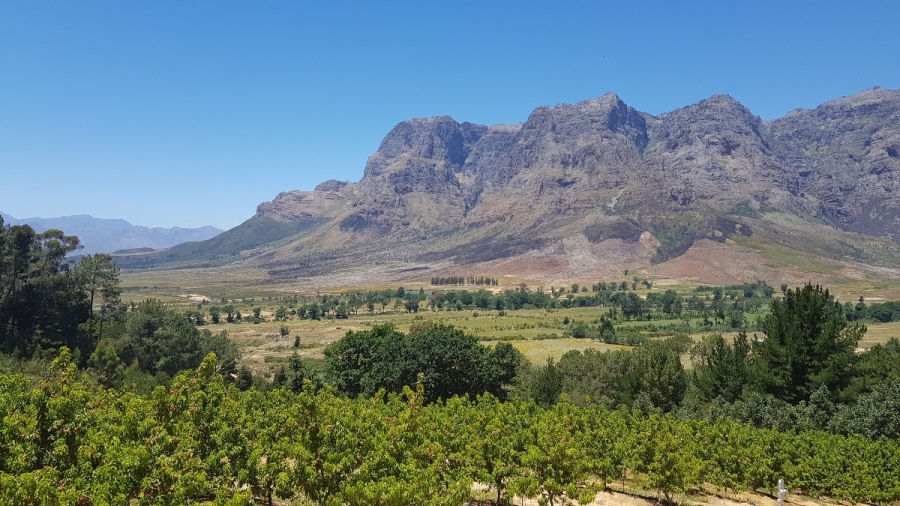 Commercial Property for Sale in Stellenbosch Farms Western Cape